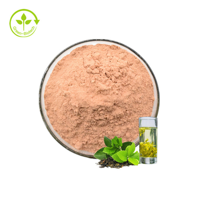 Tea Polyphenol Manufacturers Supply Hot Selling Green Tea Extract Polyphenol Powder 90% Tea Polyphenol