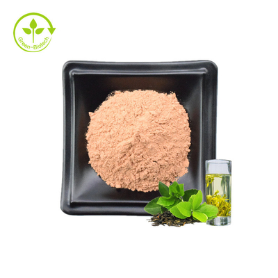 High Quality 100% Pure Organic Instant Polyphenol Green Tea Extract Powder