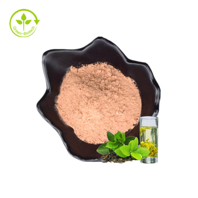 Supply Factory Price Green Tea Extract 98% Tea Polyphenols Powder In Bulk