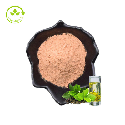 Green Tea Leaf Extract Powder 98% Tea Polyphenols 90% EGCG 40% Catechin