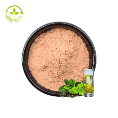 ISO Free Samples Instant Green Tea Powder 20%Polyphenols Health Food Water Soluble Organic Green Tea Extract