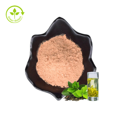 ISO Free Samples Instant Green Tea Powder 20%Polyphenols Health Food Water Soluble Organic Green Tea Extract