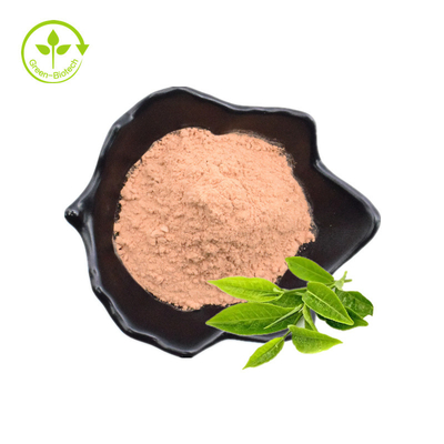 100% Natural Instant Tea Extract Powder Green Tea Extract Black Tea Extract White Tea Extract