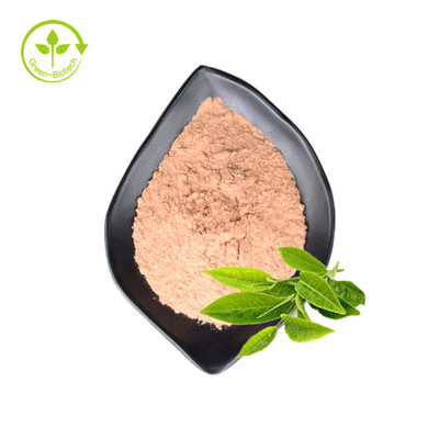 Private Label Organic Natural Pure Green Tea Extracts Matcha Powder