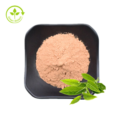 Wholesale Bulk Green Tea Extract Powder Green Tea Extract Polyphenols 50% Brown Powder