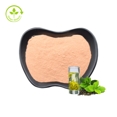 High Quality Green Tea Extract 45% EGCG Powder Green Tea Extract