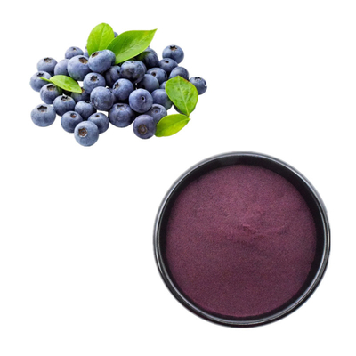 Bulk Supply Organic Blueberry Extract 99% Freeze Dried Blueberry Powder