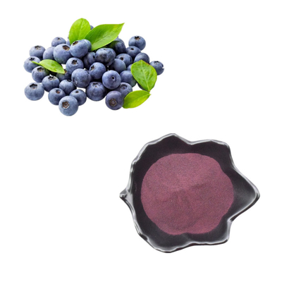 Health Care Products Fruit Extract Bulk Blueberry Powder