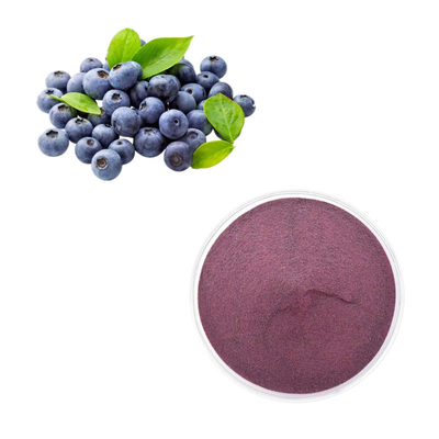 Health Care Products Fruit Extract Bulk Blueberry Powder