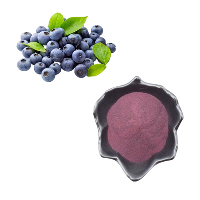 Pure Natural Fruit Powder Blueberry Powder Extract Anthocyanin Bilberry Extract Powder