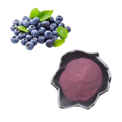 Natural Blueberry Extract Powder / Blueberry Anthocyanin