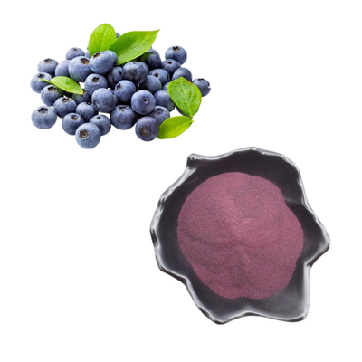 Factory Supply Food Grade Blueberry Extract Powder Blueberry 25% Anthocyanins Powder