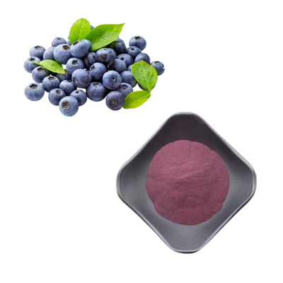 Natural Blueberry Extract Powder Wild Organic Bluebery Extract Freeze Dried Blueberry Powder
