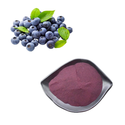 Plant Extracts Blueberry Powder 25% Anthocyanin Extraction