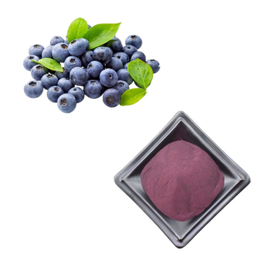 Wild Blueberry Extract Powder Anthocyanin Blueberry Powder  1kg