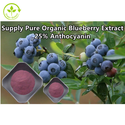 Anthocyanin 25% Blueberry Powder Bulk Natural Plant Extracts Powder