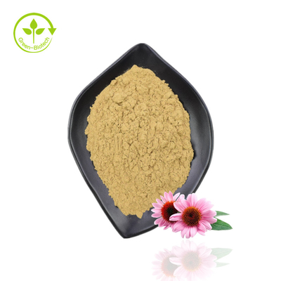 Top Quality Echinacea Extract Purpurea Organic Echinacea Extract Powder