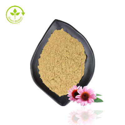 Top Quality Echinacea Extract Purpurea Organic Echinacea Extract Powder