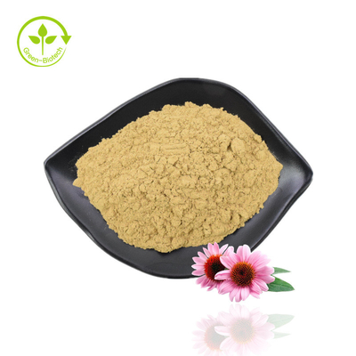 Echinacea Herb Extract Echinacea Purpurea Extract Polyphenol Echinacea Extract