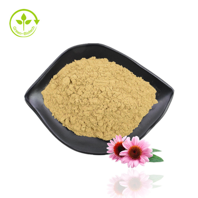 Echinacea Herb Extract Echinacea Purpurea Extract Polyphenol Echinacea Extract