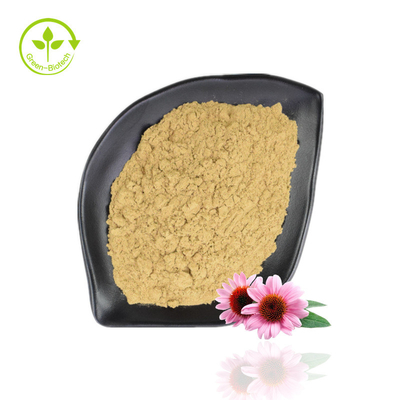 Hot Selling Echinacea Purpurea Extract 4%-6% Polyphenol 2%-4% Natural Echinacea Powder
