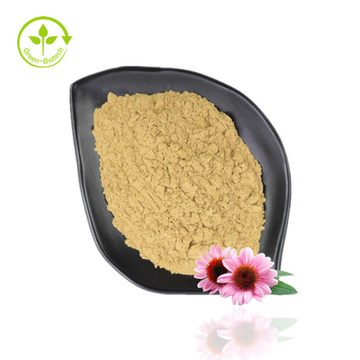 Hot Selling Echinacea Purpurea Extract 4%-6% Polyphenol 2%-4% Natural Echinacea Powder