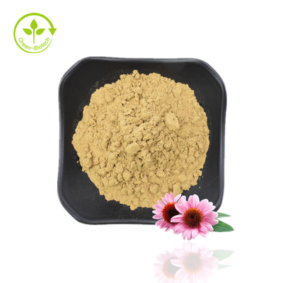 Natural Polyphenols 4% Cichoric Acid 1% 4% Echinacea Purpurea Extract