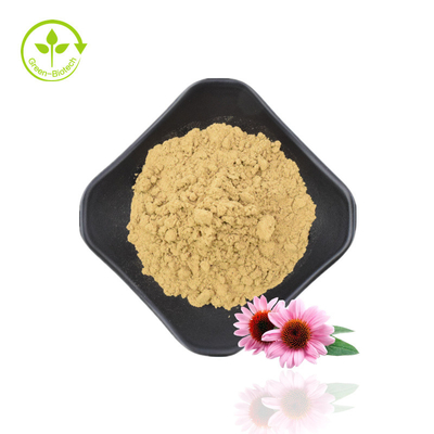 Natural Polyphenols 4% Cichoric Acid 1% 4% Echinacea Purpurea Extract