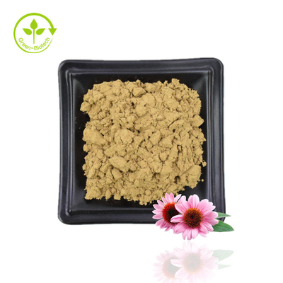 Supply Echinacea Purpurea Extract Echinacea Extract Natural Echinacea Purpurea Flower Extract 4% Polyphenols