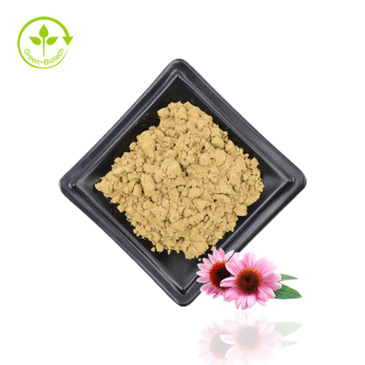 Supply Echinacea Purpurea Extract Echinacea Extract Natural Echinacea Purpurea Flower Extract 4% Polyphenols