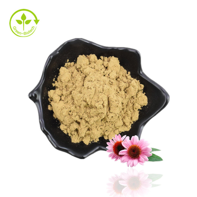 Original Manufacturer Supply Good Quality Food Grade Echinacea Purpurea Root Extract
