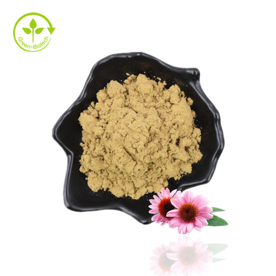 Manufacture Supply Echinacea Purpurea Chicoric Acid Echinacea Extract