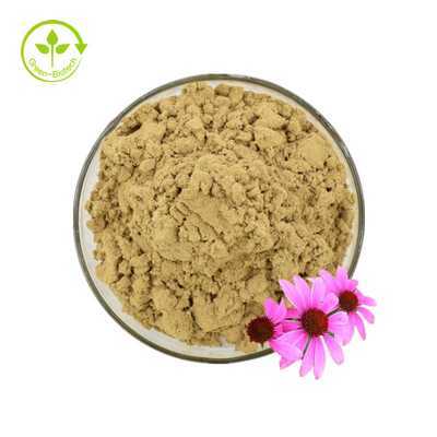 ISO Certificate 100% Natural Echinacea Extract Echinacea Purpurea Extract 10% Polyphenol