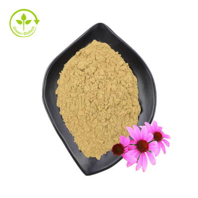 Factory Supply High Quality Echinacea Purpurea Extract Echinacea Extract