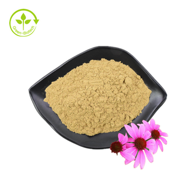 Factory Supply High Quality Echinacea Purpurea Extract Echinacea Extract