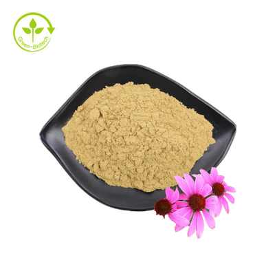 Wholesale Supply 3% Chicoric Acid Echinacea Purpurea Flower Extract Echinacea Purpurea Extract