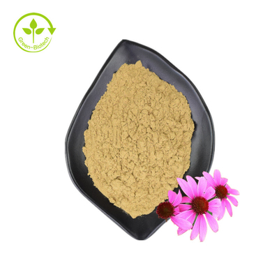 Wholesale Supply 3% Chicoric Acid Echinacea Purpurea Flower Extract Echinacea Purpurea Extract