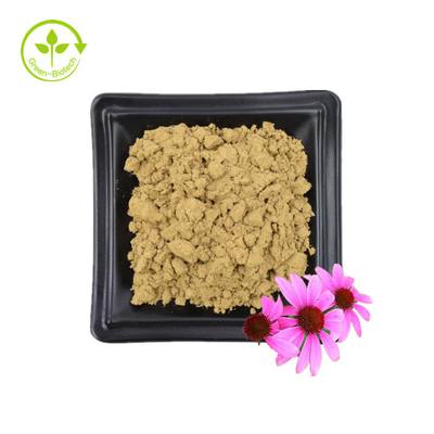 Bulk Supply Echinacea Purpurea Extract 4% Polyphenol 2% Chicoric Acid