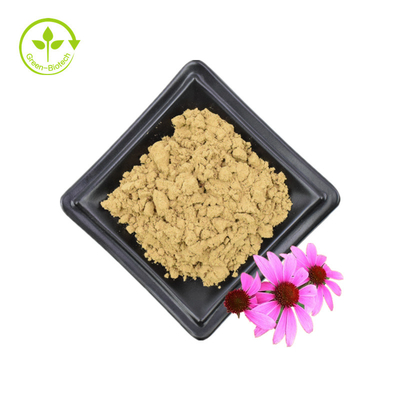 Bulk Supply Echinacea Purpurea Extract 4% Polyphenol 2% Chicoric Acid