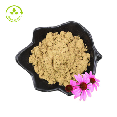 Pure 4% Chicoric Acid Echinacea Purpurea Flower Extract Powder Echinacea Purpurea Extract