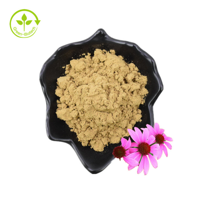 Pure 4% Chicoric Acid Echinacea Purpurea Flower Extract Powder Echinacea Purpurea Extract