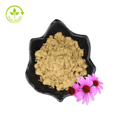 Organic Polyphenol Dried Powder Flower Seeds Echinacea Purpurea Extract