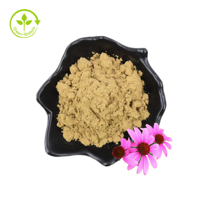 Bulk Natural Echinacea Extract Powder Echinacea Purpurea Extract