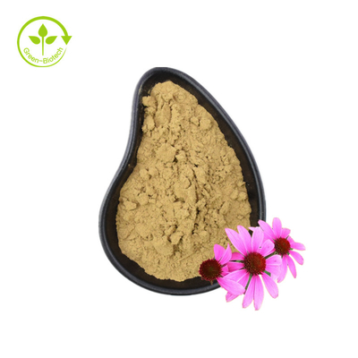 Echinacea Purpurea Extract Pure Powder Organic Echinacea Extract Polyphenols 4%