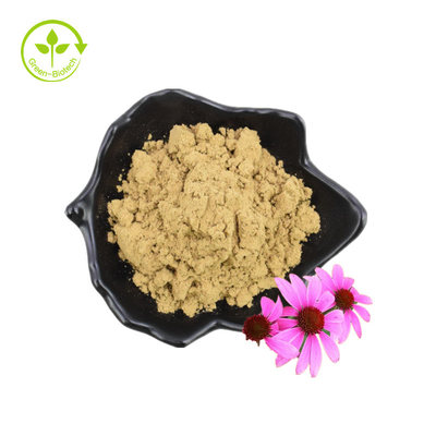 Pure Cichoric Acid 6% Bulk Powder Echinacea Purpurea Extract