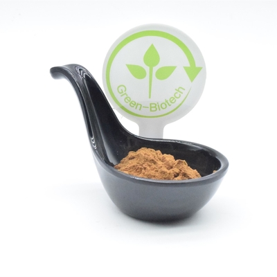 Chinese Herbal Plant Gymnema Extract Powder Supplements Boost Immunity By HPLC