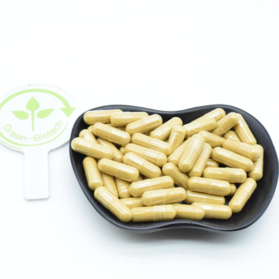 Natural Panax Siberian Korean Red Ginseng Root Extract 10% 20% 80% Ginsenosides Powder