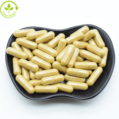 Natural Panax Root Extract Korean Red Ginsenosides Powder 25kg/Drum