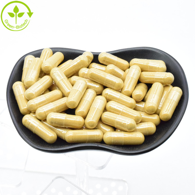 Factory Supply Ginseng Root Powder Panax Ginseng Extract 20:1 Ginsenoside 80%