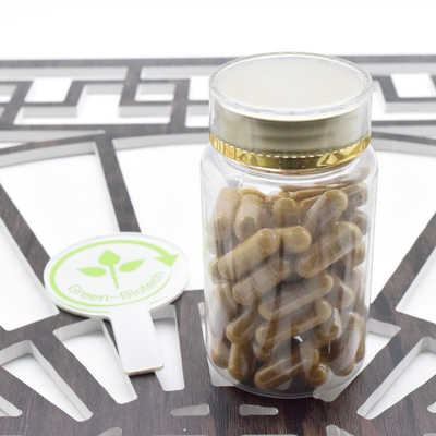 Healthcare Supplement Pure Panax Ginseng Powder Panax Ginseng Extract 5%-80% Ginsenoside